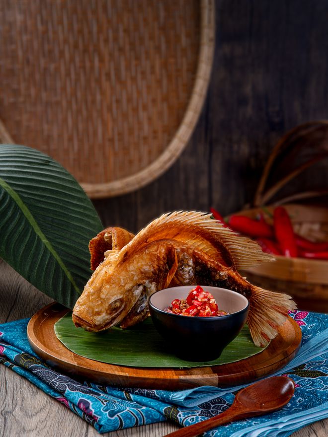 Dancing Fish Talapia